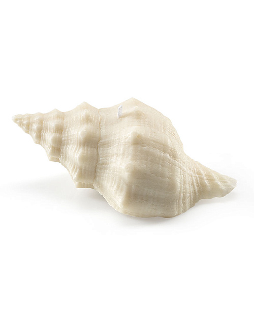 Свеча «Ракушка рог тритона», пчелиный воск, 10×5 см