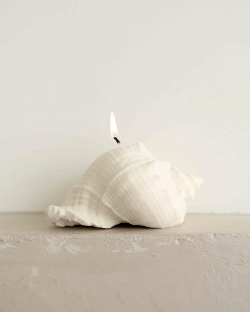 Свеча «Ракушка рапана», пчелиный воск, 10×9 см
