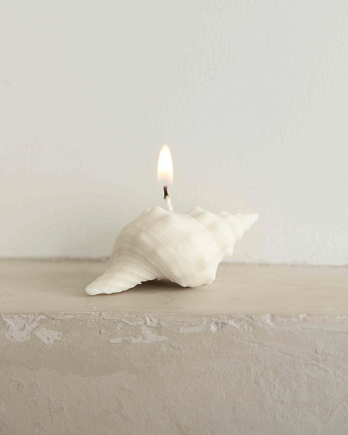 Свеча «Ракушка рог тритона», пчелиный воск, 10×5 см