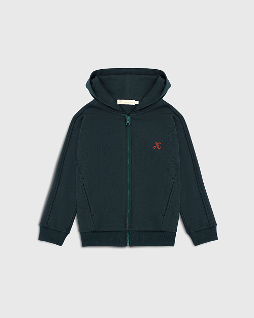 Детская толстовка Unisex с капюшоном, на молнии, зеленый