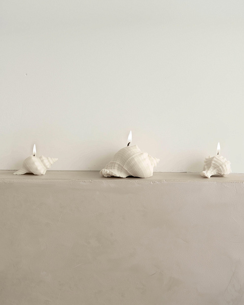 Свеча «Ракушка рог тритона», пчелиный воск, 10×5 см